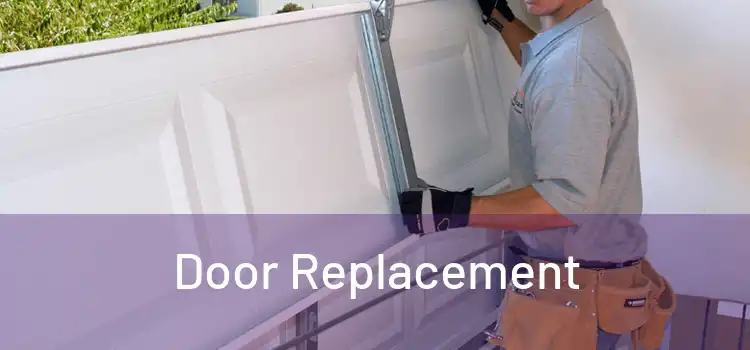  Door Replacement 