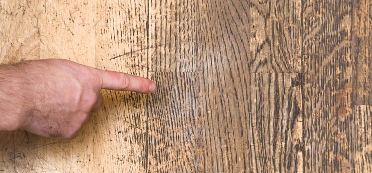 Wood Door Scratch Repair in Solana Beach